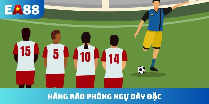 Hàng rào phòng ngự dày đặc